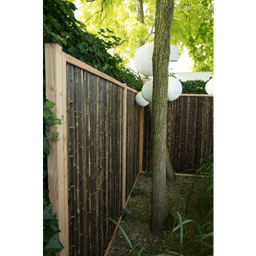 Bamboescherm zwarte bamboestokken in douglas frame 188x188 cm 3