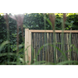 Bamboescherm zwarte bamboestokken in douglas frame 188x188 cm 4