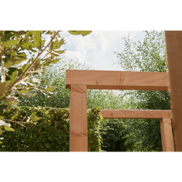 Douglas fijnbezaagde paal 15x15x300 cm onbehandeld 4