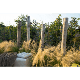 Ronde paal tamme kastanjehout geschild 10/12x180 cm 3