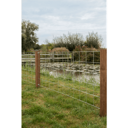 AZ hardhouten paal geschaafd V-groef gepunt 8,5x8,5x200 cm 3