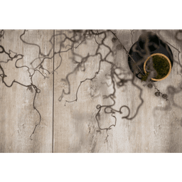 MBI GeoCeramica 120x30x4 cm timber tortera 4