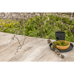 MBI GeoCeramica 120x30x4 cm timber noce 5