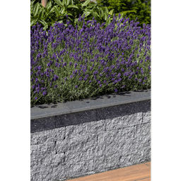 Splitblok 38x9x9 cm antraciet 5