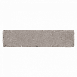 Abbeystones 20x5x7 cm certosa 8