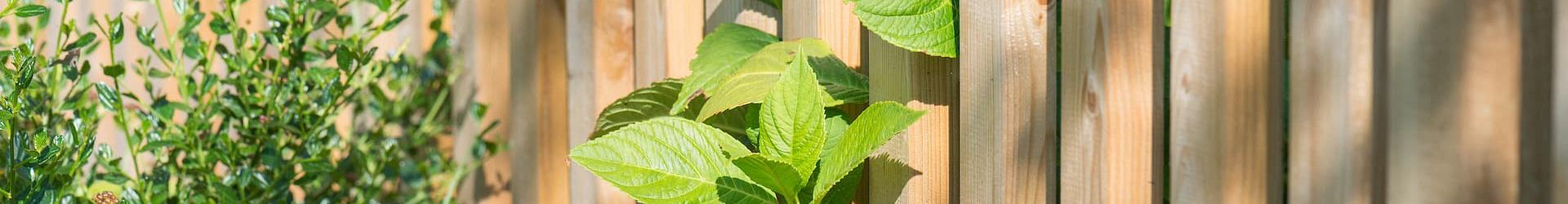 tuininkoop tuinmaterialen groothandel hovenier 